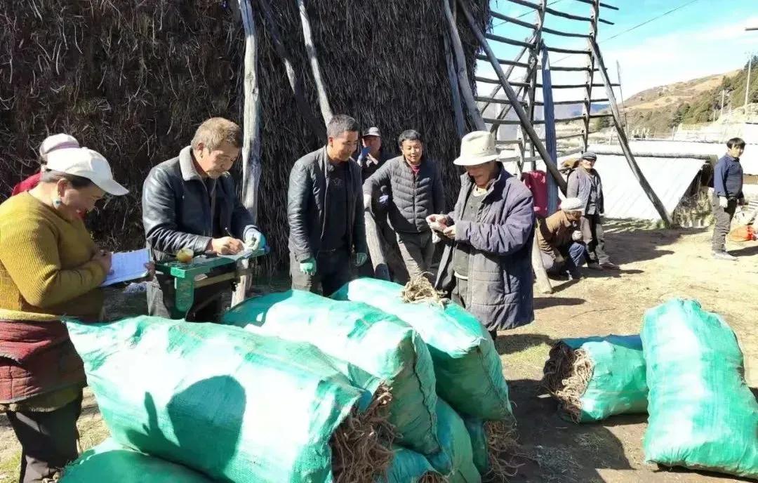 新闻晚高峰视频直播,新闻晚高峰播放时间