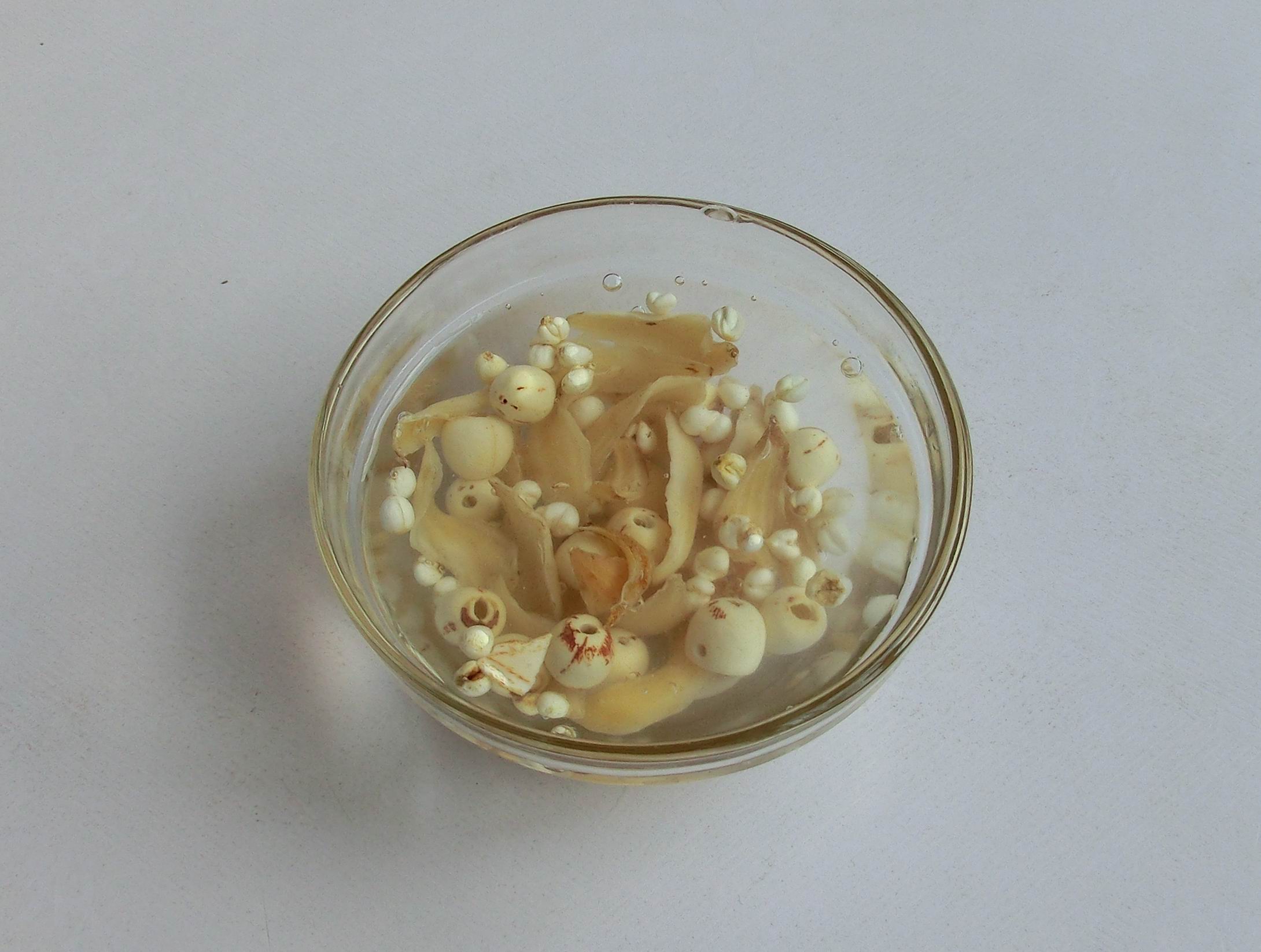 煲汤和隔水炖哪个更好,明火隔水炖盅炖粥的使用方法