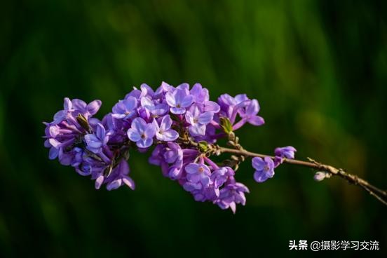 尼康z50延时怎么设置,尼康z50深度使用体验