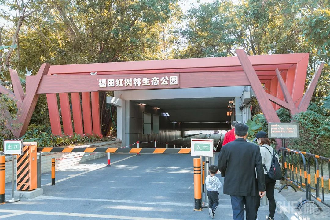 疫情期间免费开放的公园,疫情期间开放的公园有哪些