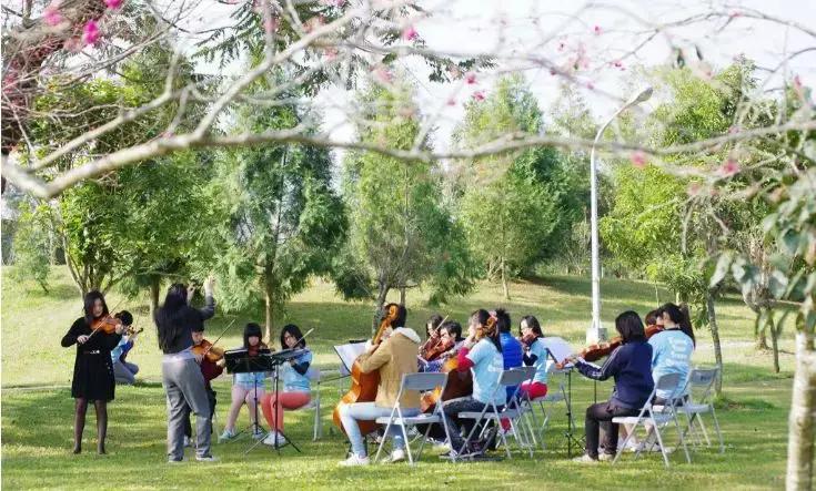 国际乡村旅游经验,台湾乡村旅游有什么值得借鉴的