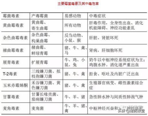 霉菌毒素对猪的危害有多大,霉菌毒素是否能引起猪梭菌病