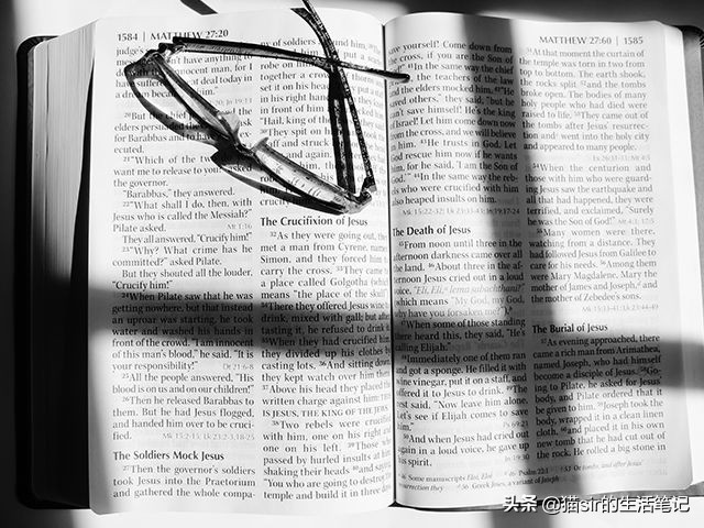 一年读100本书,读100本书