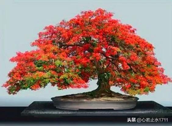 己所不欲勿施于人二年级日积月累,己所不欲勿施于人什么意思