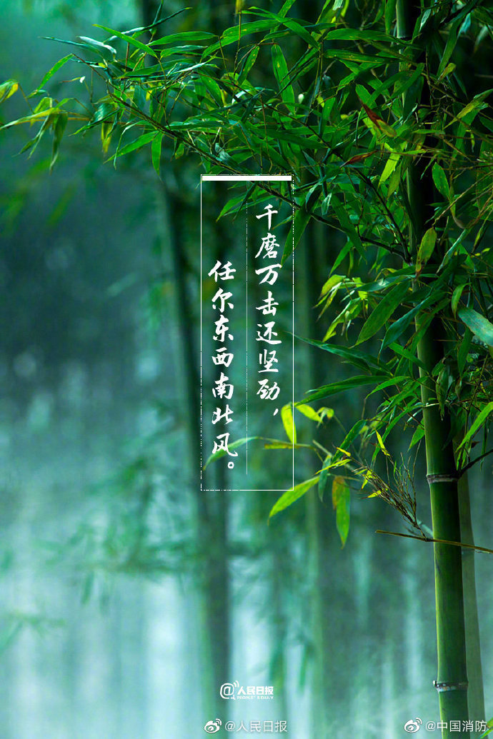 一起感受古诗词里的励志情怀,写给自己的励志古诗词名句