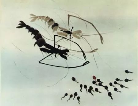 开明大戏院，哪个苏州人没去这里看过电影？