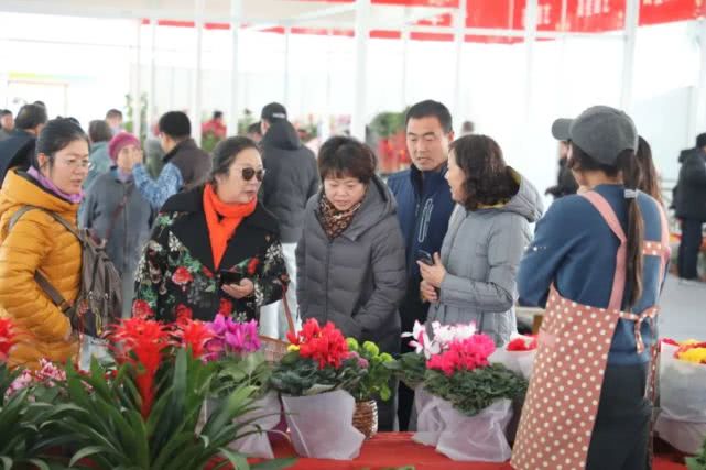 金沙滩啤酒城年货节,金沙滩啤酒城年货节图片