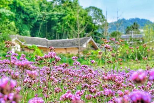 重庆綦江有什么避暑的地方,重庆綦江避暑地方有哪些