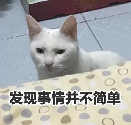 想成为猫医生怎么做,怎么给猫咪剃毛的步骤