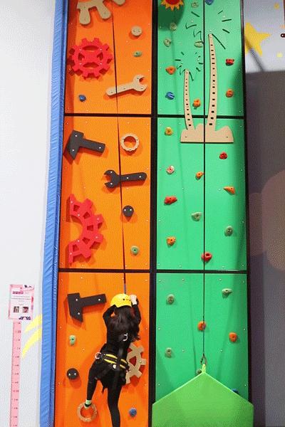 浪漫树屋、奇妙酒店、恒温水乐园...去江浙沪Top酒店跨个30℃的年