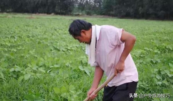 人在高温下中暑的时候有什么反应,人为什么会热中暑