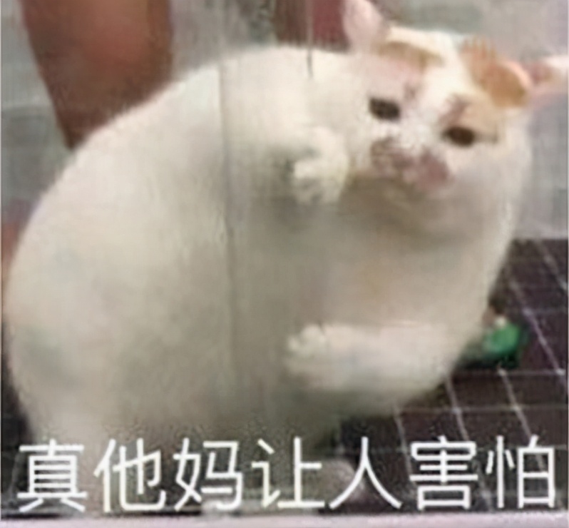 他白手起家到宇宙第一人送外号EVE版“小诸葛”