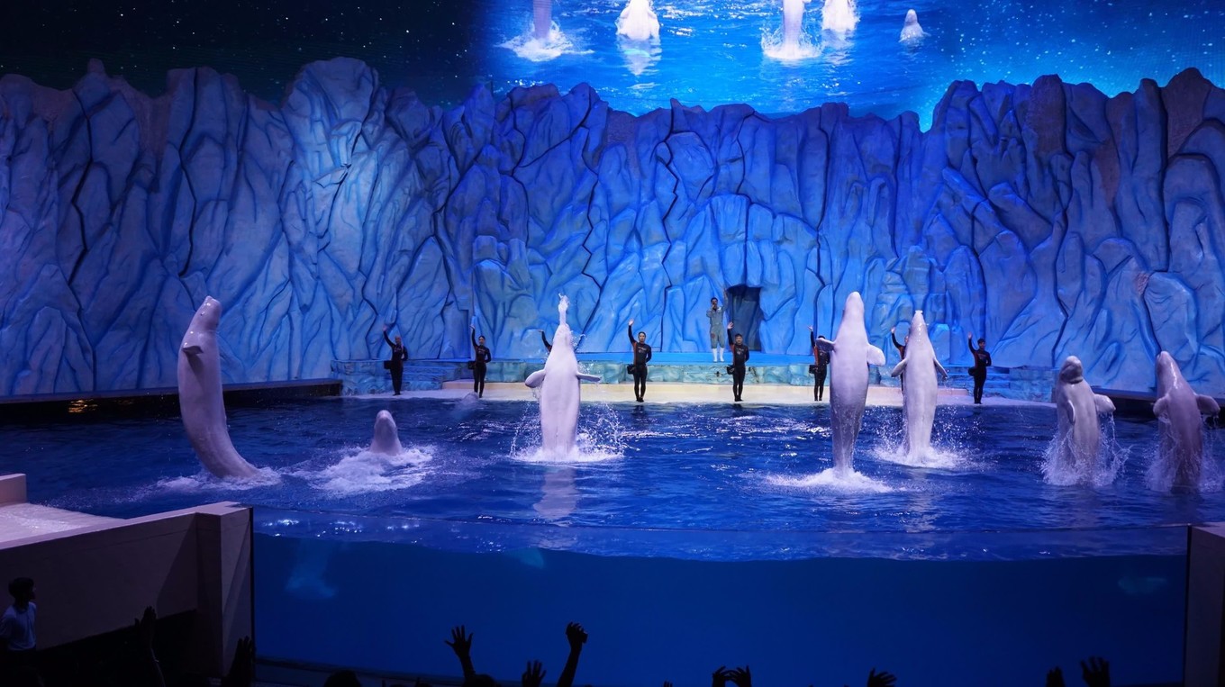 珠海长隆三日游攻略及住宿,珠海长隆游玩攻略3天2晚住宿套票