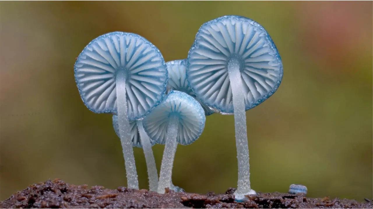 杭州注意力训练培训班,杭州专注力训练营靠谱吗