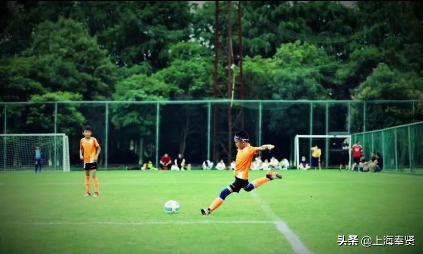 奉贤五一游玩打卡的地方,奉贤休闲度假游玩攻略