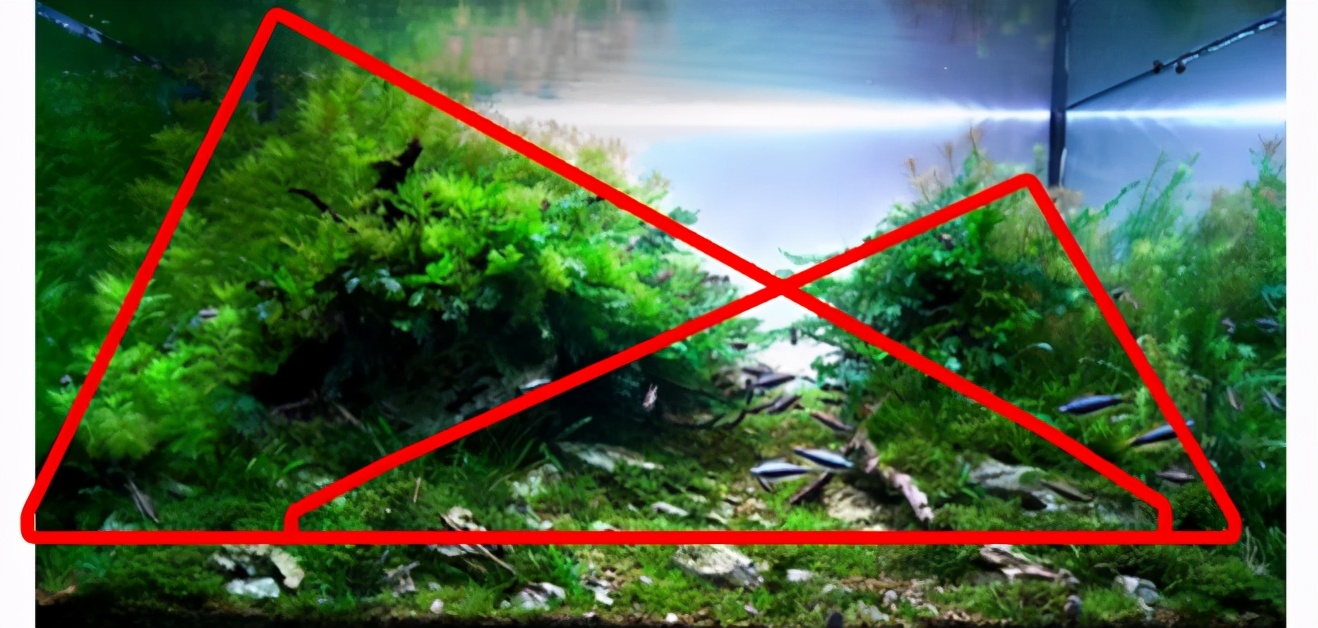 三角形构图水族造景,水族造景构图黄金比例