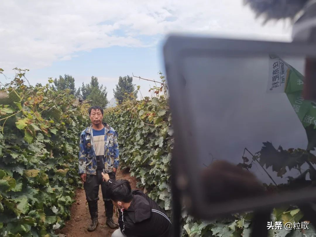 住商中农肥料怎么样,住商肥料助力精品农业