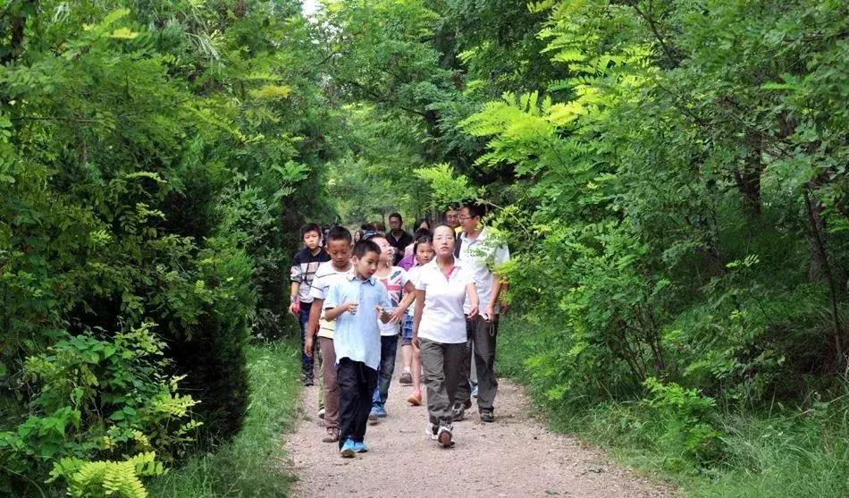 春天来了孩子们会做些什么,春天的孩子在做什么