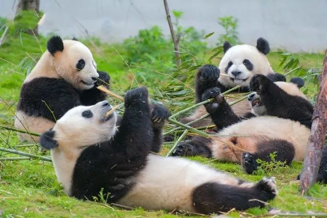 汶川是什么省,汶川大地震