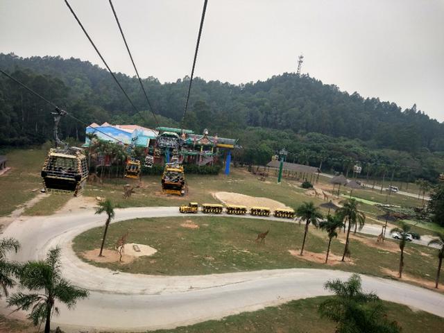 广州长隆野生动物世界二日游,广州长隆野生动物世界步行游览区