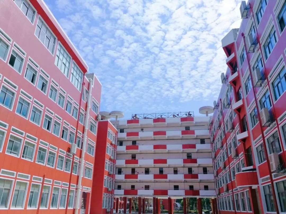 武汉32所重点小学大pk,武汉市十大美丽中学