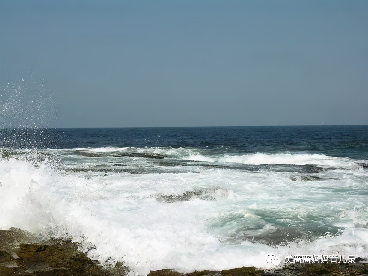 留金岁月安排饭局是第几集,流金岁月电视剧经典片段