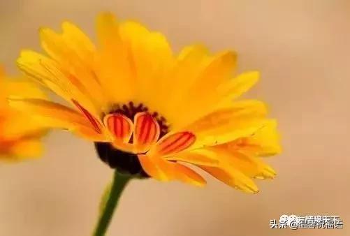 《家庭兴旺歌》《和谐歌》《夫妻歌》太绝了！句句精辟