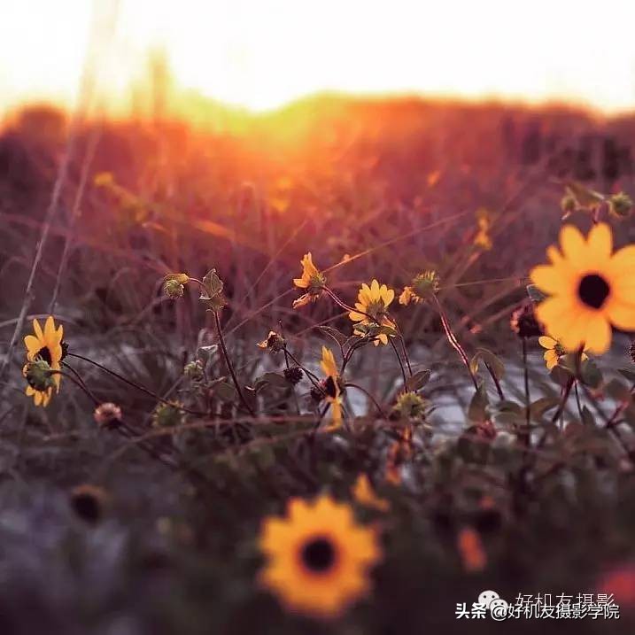 防眩光的正确调法技巧,简单四招提升短片氛围感