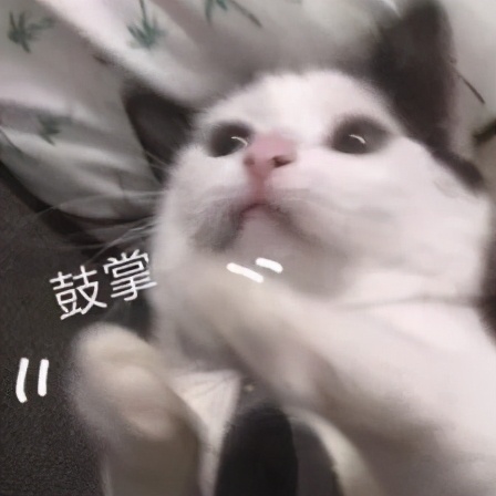 东莞8大名校有哪些,东莞出名的学校