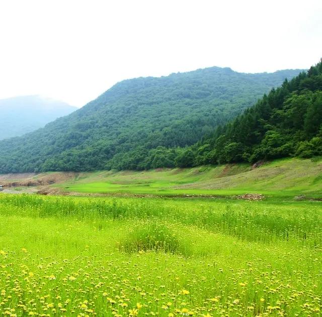 头条教你快速加v,今日头条训练营怎么加v