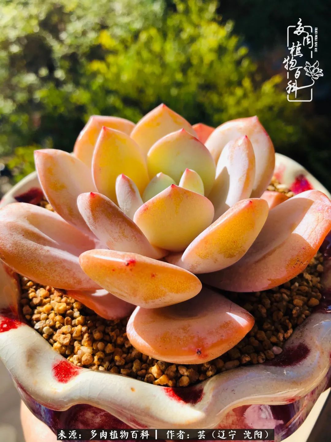 万物皆有灵性有因必有果,万物皆有灵性与生命