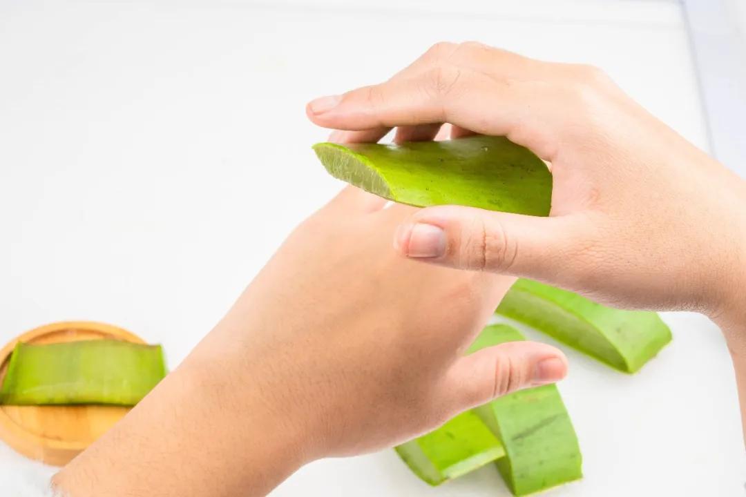 家中的绿植哪些会引起皮肤过敏,家里养的绿植碰了身上痒什么原因