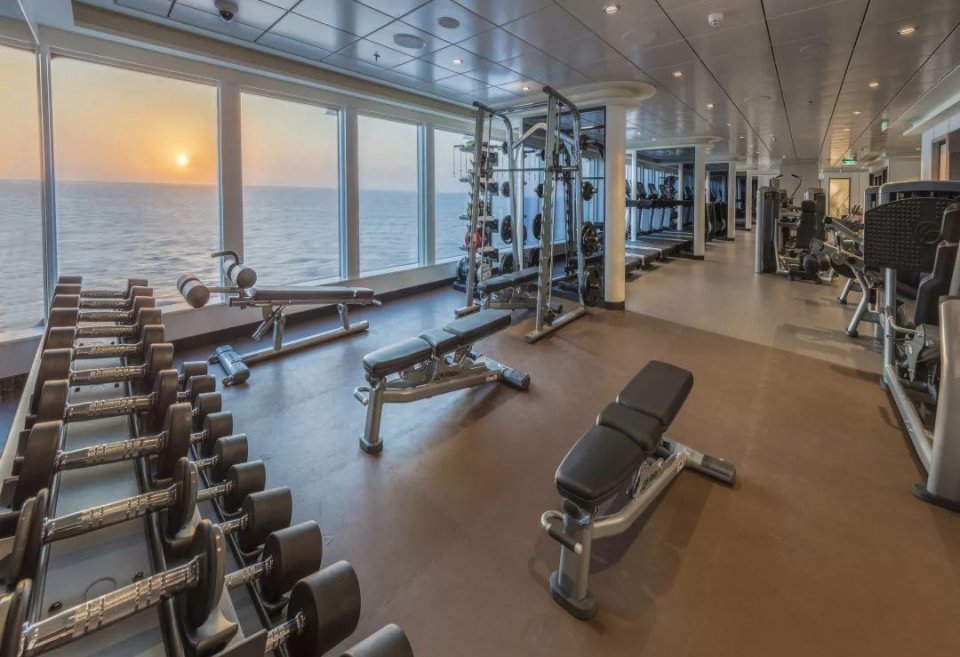 世界梦号邮轮全图,全球最大海上超级城堡