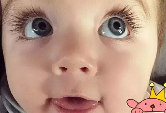 睫毛最长可以长多少厘米,世界上最长的睫毛