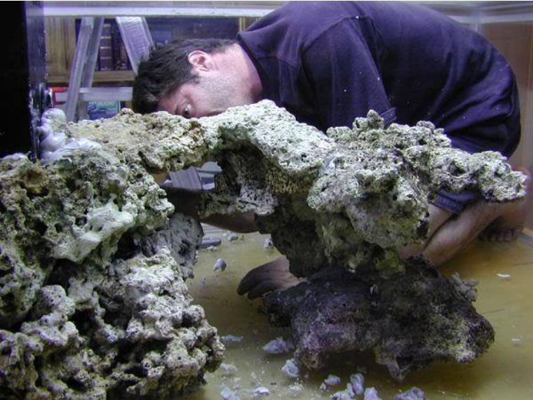 为什么国人对鱼情有独钟,为什么有的人对鱼那么痴迷