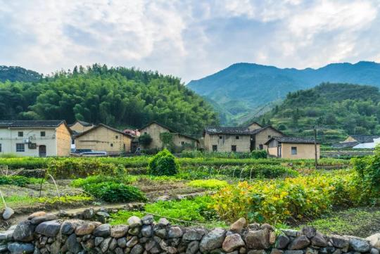 雄黄粉和雄黄驱蛇粉是一样的吗,原来蛇不怕雄黄而是这几样东西