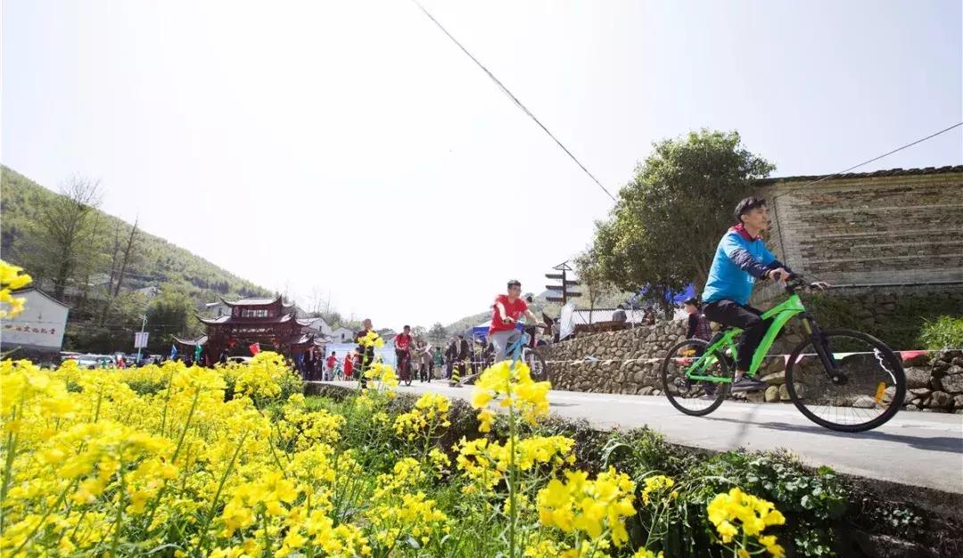 婺源油菜花田风景,藏于江西婺源深山中小村子