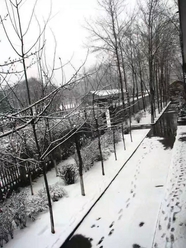 三原南郊中学简介,三原南郊中学名人