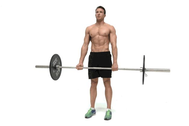 臀部不练就很翘,臀部不翘怎么练