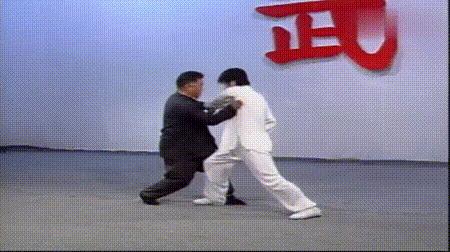 螳螂拳的实战杀法,最猛螳螂拳全套慢动作教学