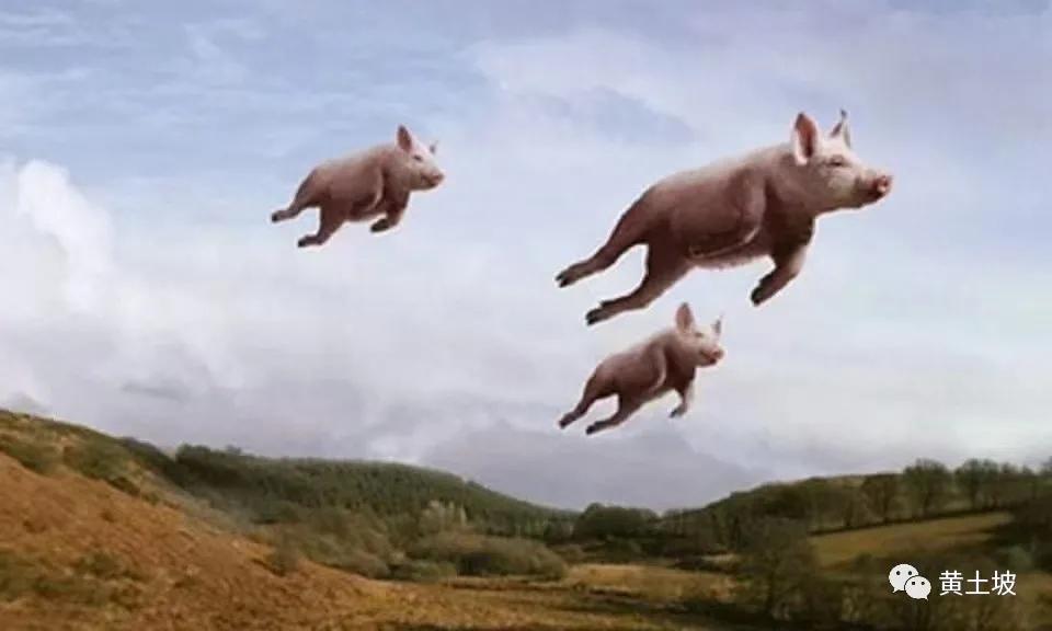 刘小元,刘小元湘潭