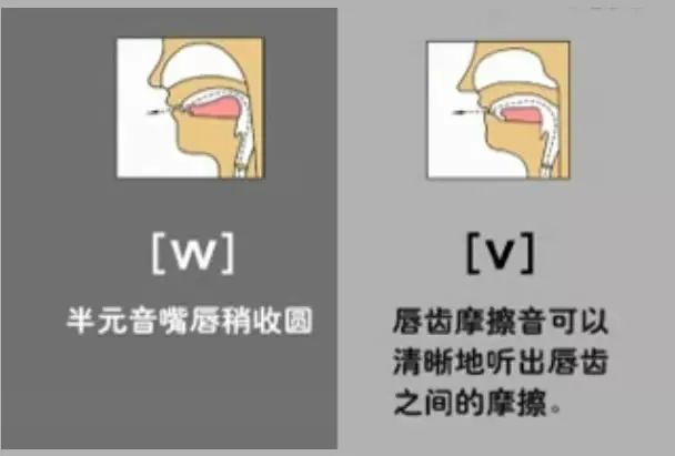 英语音标发音表48个音标正确读法,英语干货48个音标快速记忆法下