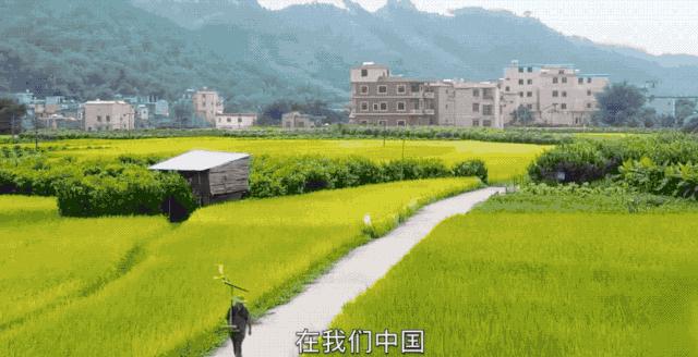 靠锯木头火爆国外，4000w人想当他孙子的大爷，到底有多牛x？