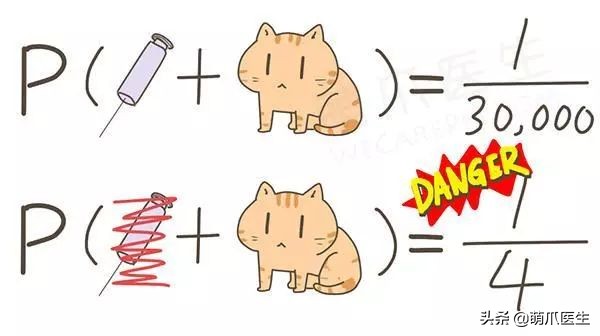 给猫打针避免打到神经,给猫打针要不要消毒