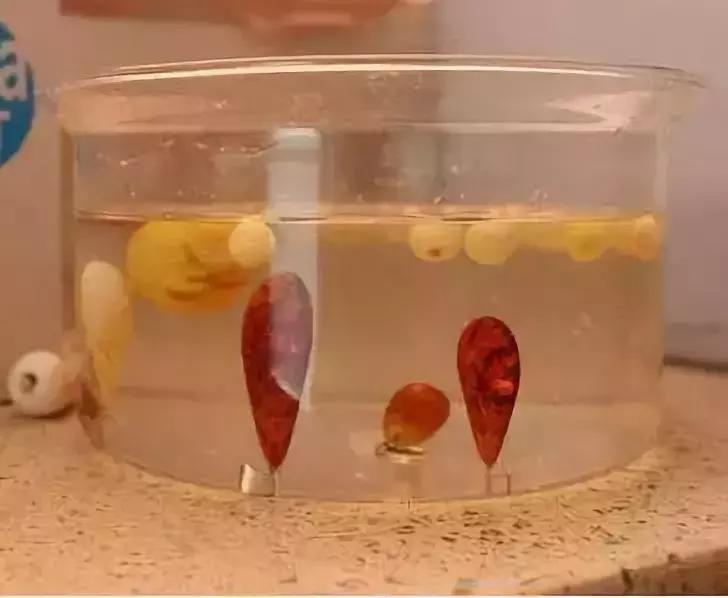 天然蜜蜡的鉴别方法,最简单的鉴别蜜蜡的方法