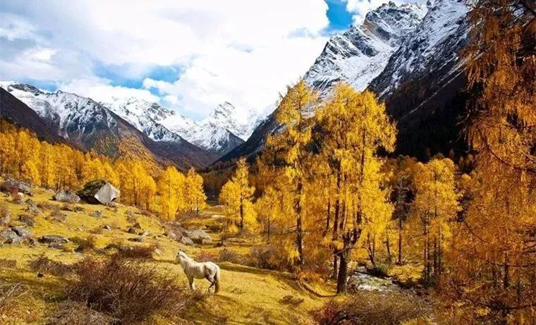 国内小众拍照胜地排名,文艺气息满溢的拍照圣地