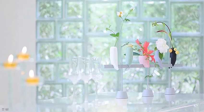 关于我们的茶生活的美文,茶与生活的美文