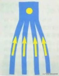 肌内贴测评,李宁国货引发争议