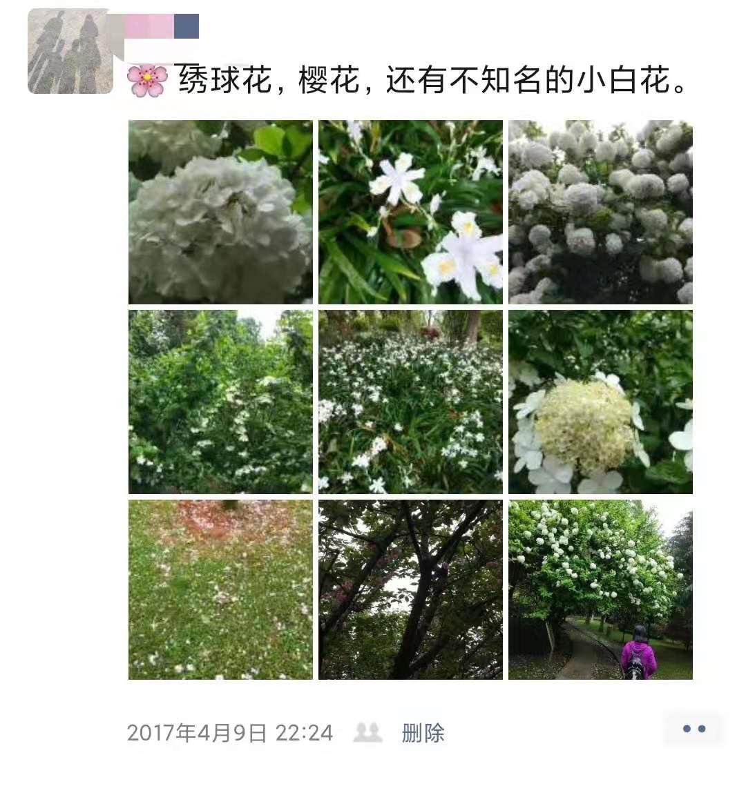 双胞胎宝妈孕期日记:28张朋友圈晒图,2/3的苦,都以1/3的乐结尾