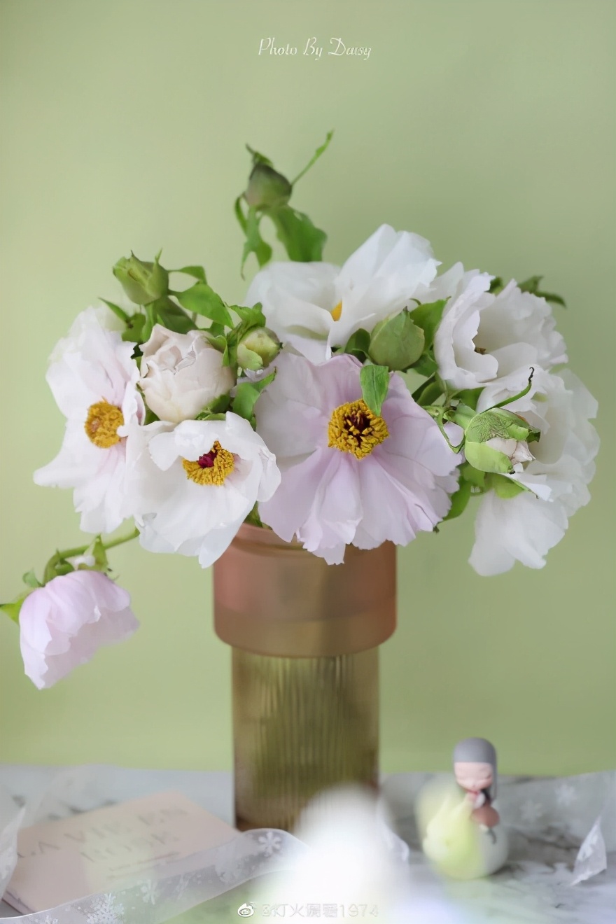 植库‖跟随仙气飘飘的油牡丹，追寻春天的步伐